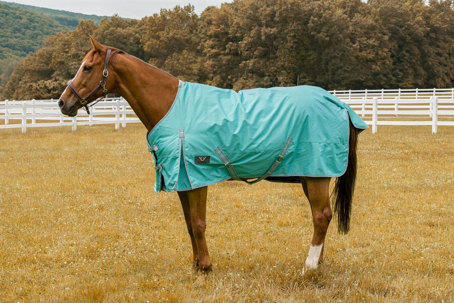 TuffRider 1200 D Comfy Winter Blanket