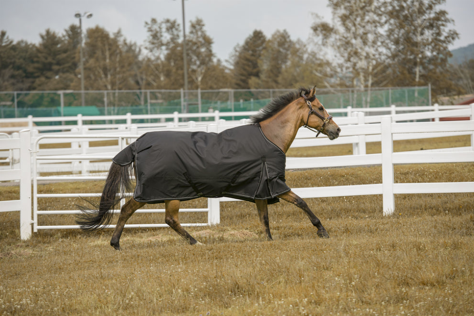 TuffRider 1200 D Comfy Winter Blanket