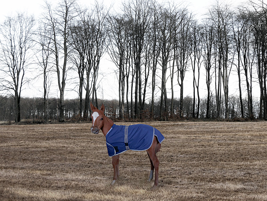 TuffRider 1200D Ripstop Foal Adjustable Turnout Blanket