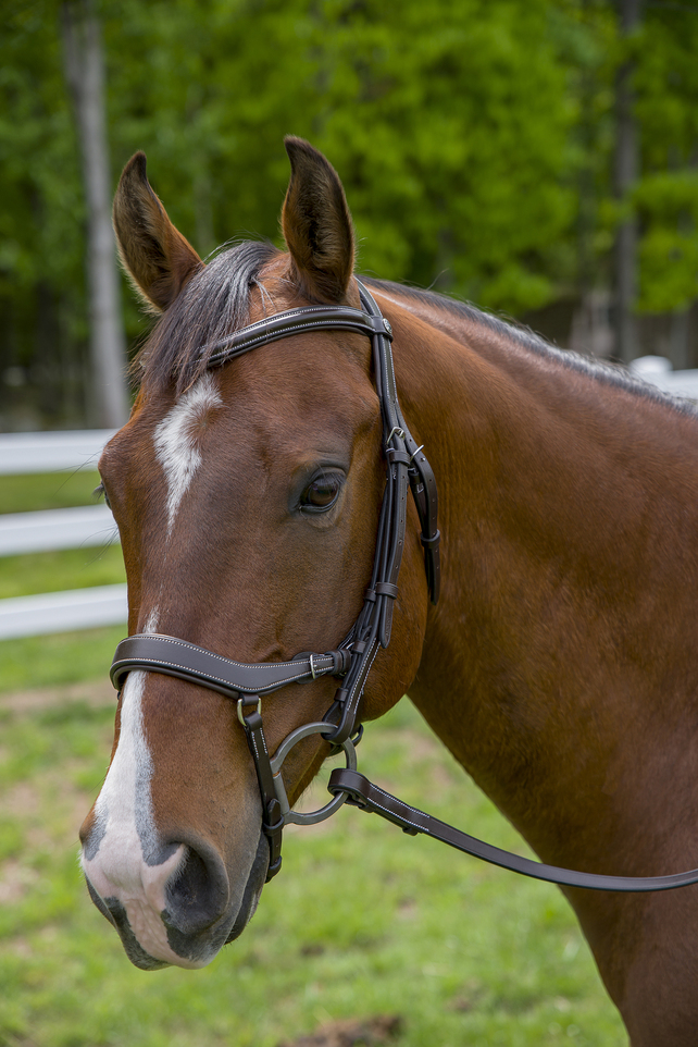 Henri de Rivel Pro Anatomical Bridle