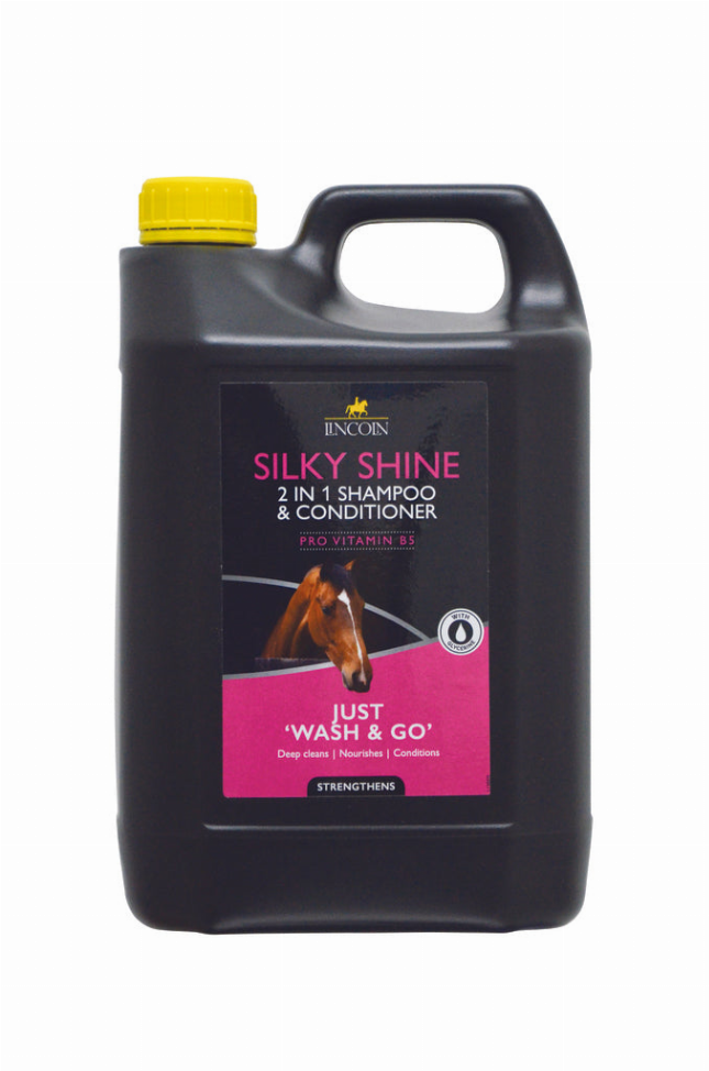 Lincoln Silky Shine 2 in 1 Shampoo and Conditioner