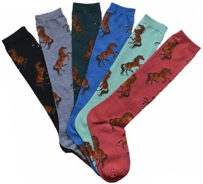 AWST Int'l Ladies "Lila" Bay Horse Knee Socks-6 Pack