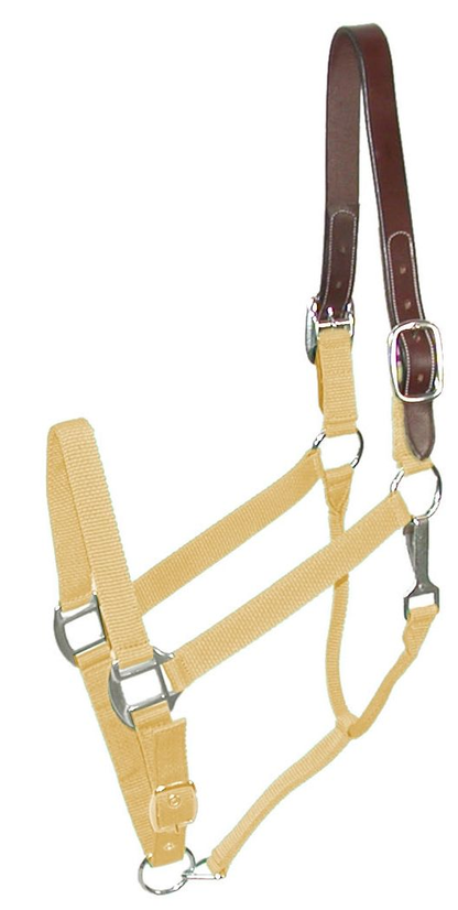 Gatsby Classic Nylon Breakaway Halter With Snap