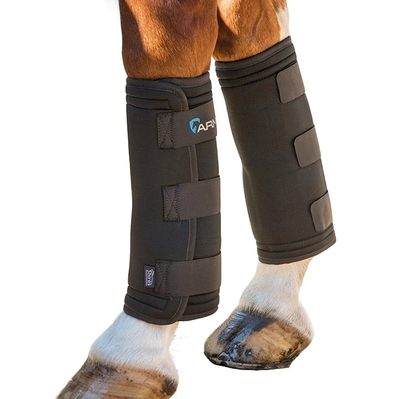 Equine Ice Compress for Leg Muscle, Equestrian Equipment, Use for Reliving Inflammation, Preventing Up